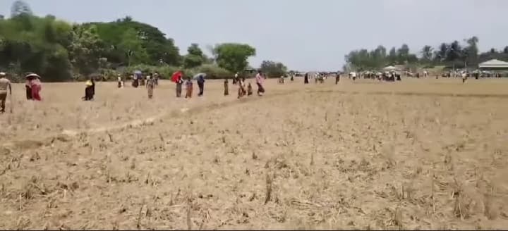 Hundreds of Rohingya Forced to Stand for Hours Under Scorching Sun in Maungdaw by Arakan Army