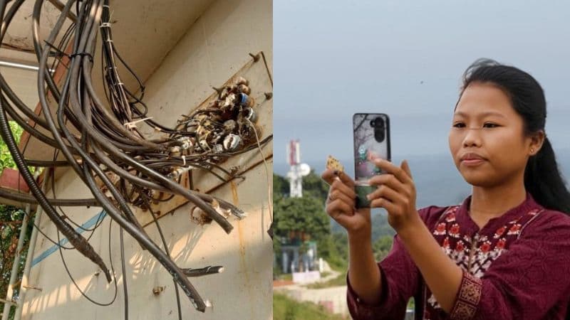 UPDF Cut Off Mobile Networks Across Hills in Bangladesh; Over Unpaid Extortion Demands